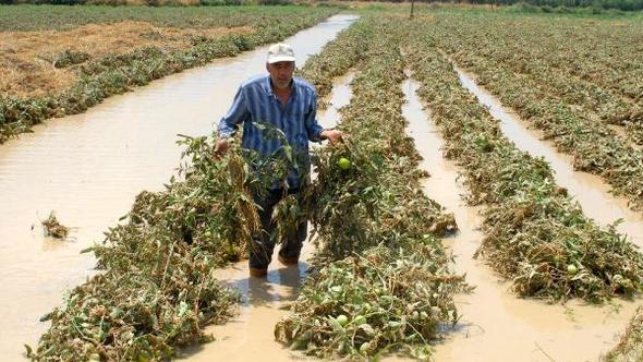 Adana'da selzede çiftçi ve üreticiye afet yardımı yapıldı