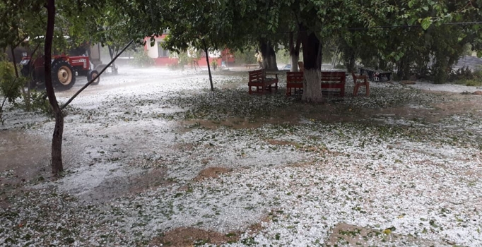 Adana'da şiddetli dolu yağışı, çifçiyi vurdu