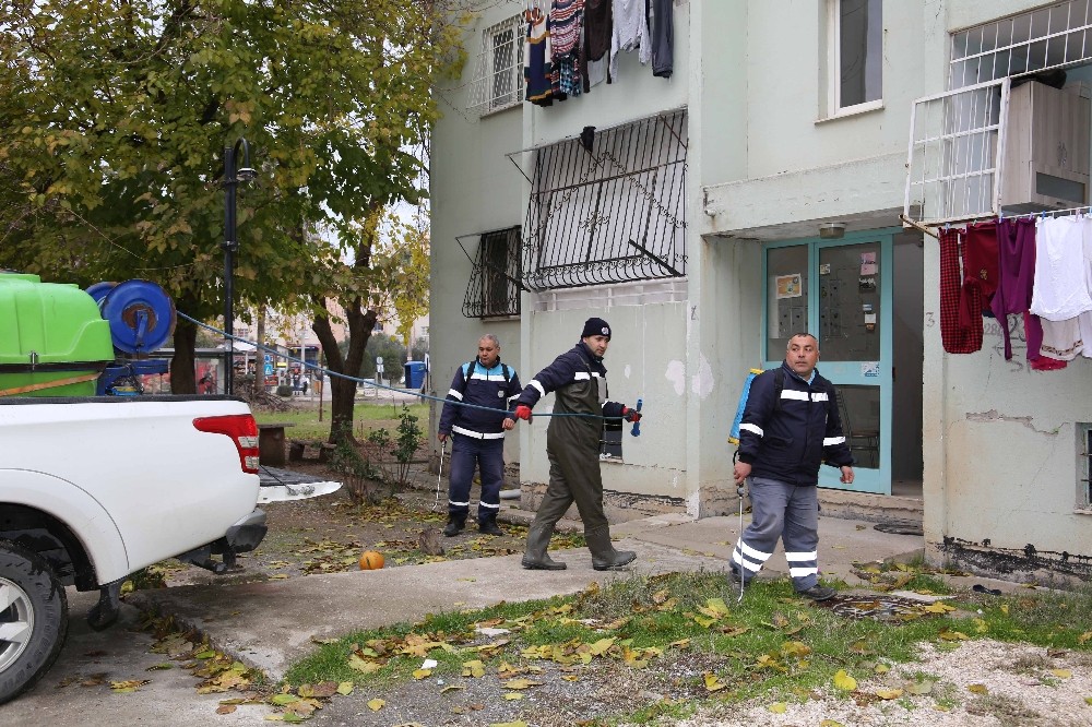 Adana’da sivrisinekle mücadeleye şimdiden başlandı 