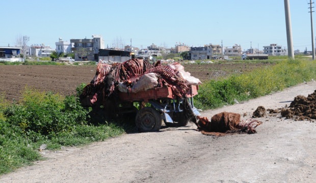 Adana'da skandal! Yakalanmasa...