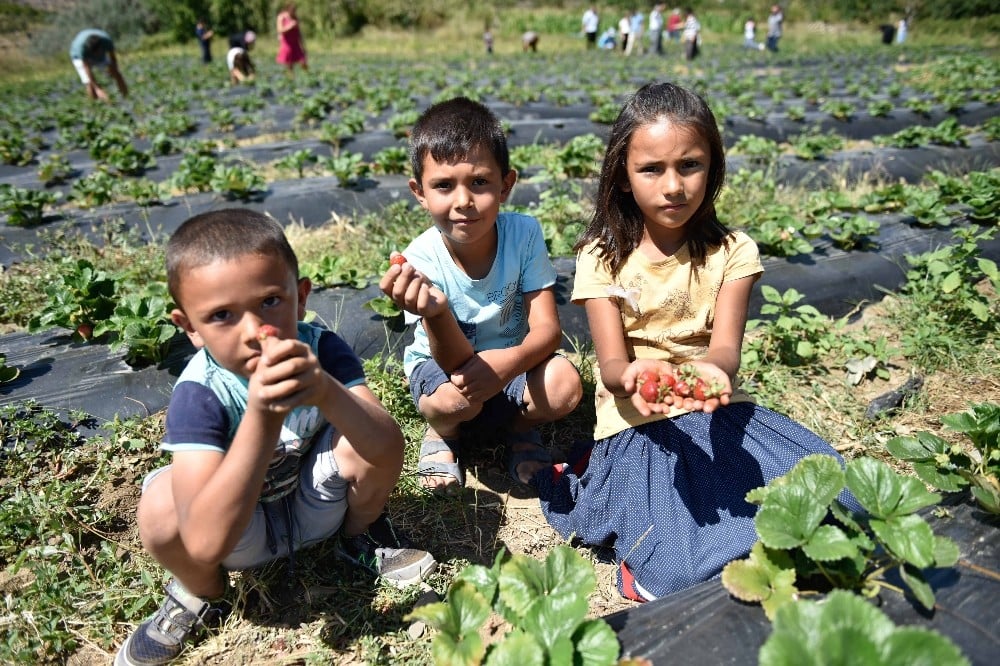 Adana’da tarımı güçlendirme projeleri 