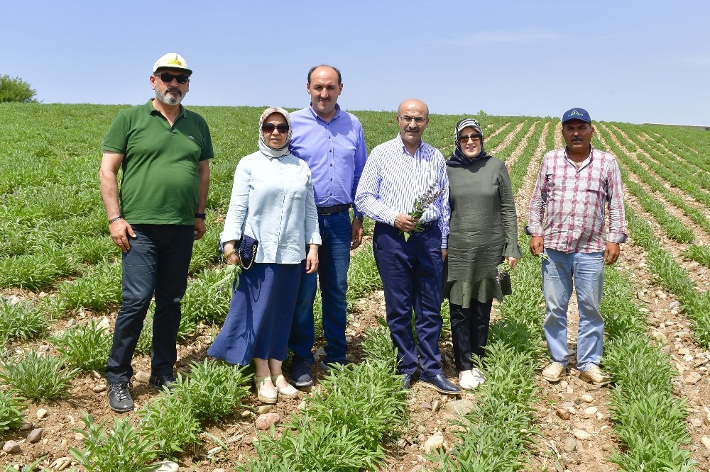 Adana’da tarımsal ürün çeşitliliği artıyor 