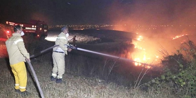 Adana'da tarladan ormana sıçrayan yangın kontrol altına alındı