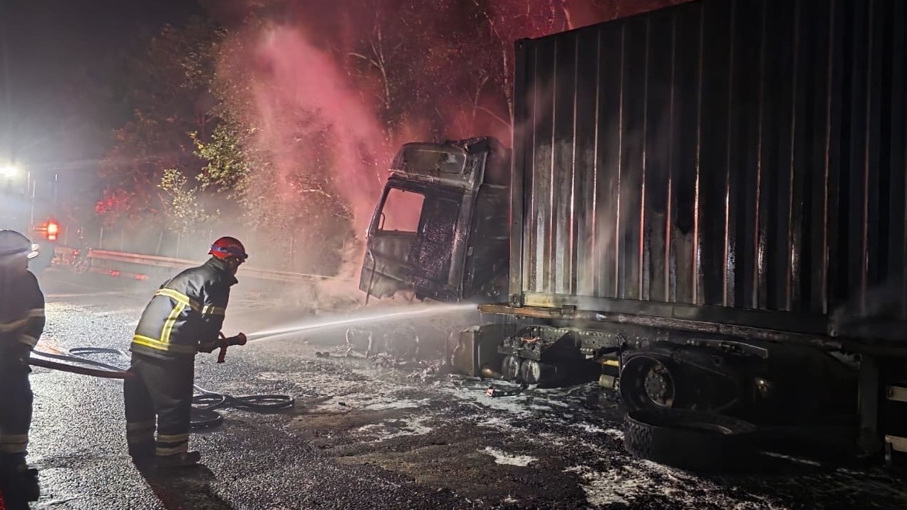 Adana’da tır yangını ormana sıçradı