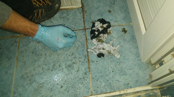 Adana'da torbacı esrarı tuvalete attı polis sifonu çekmeden yetişti