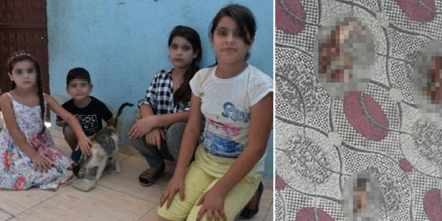Adana'da vahşet! Torunlarını korkutmak için kediyi parçaladı!