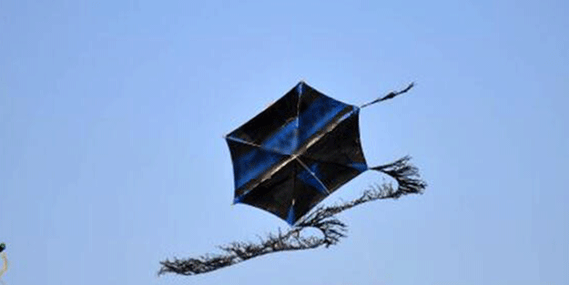 Adana’da Valilikten açıklama! Uçurtma kararı