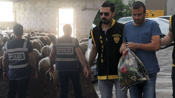 Adana'da vatandaşı dolandırıp çiftlik kuran sanığın ifadesi şok etti