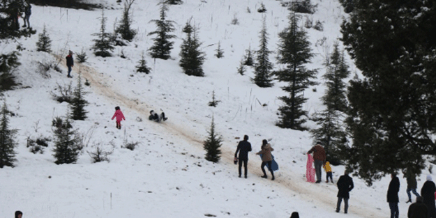 Adana'daki Armutoluğu Yaylası beyaz örtüyle kaplandı