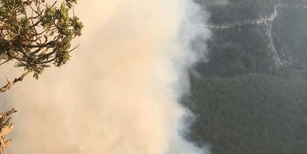 Adana’daki orman yangınında yeni gelişme