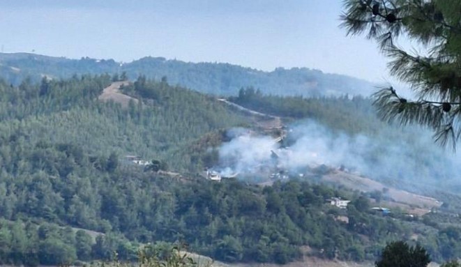 Adana'daki yangın kontrol altında