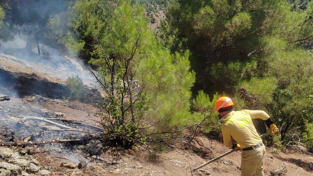 Adana'daki yangından iyi haber