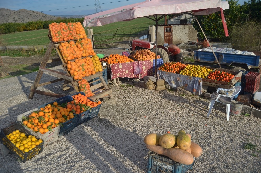 Adana’dan hediyelik portakal 