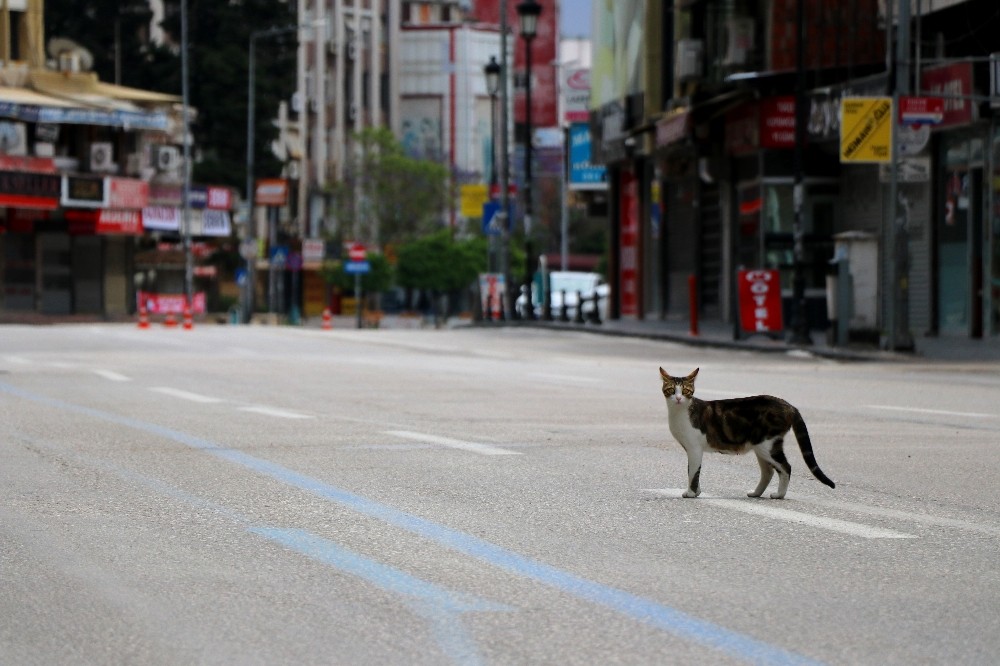 Adana’nın en işlek caddelerinde ıssızlık hüküm sürüyor 