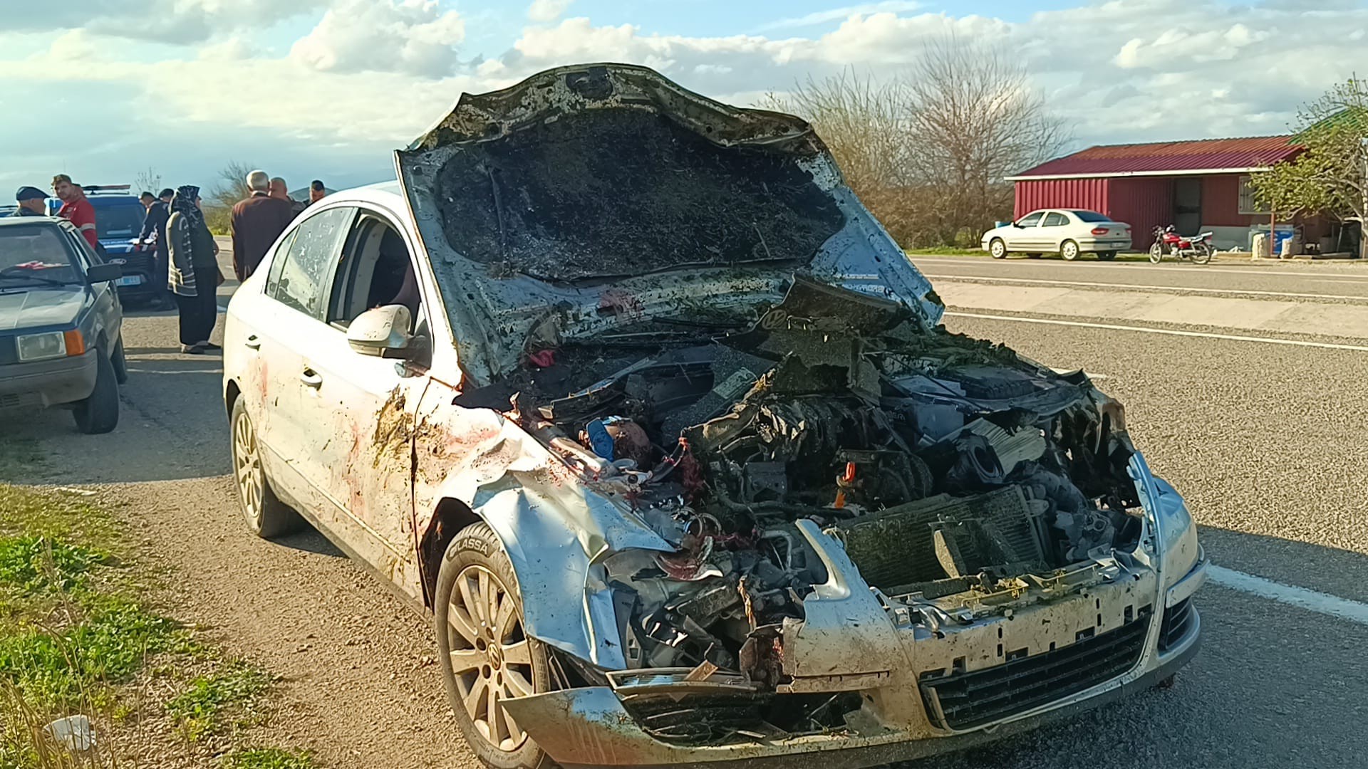 Adana'nın Kozan ilçesinde otomobilin sürüye çarpması sonucu 7 koyun telef oldu.