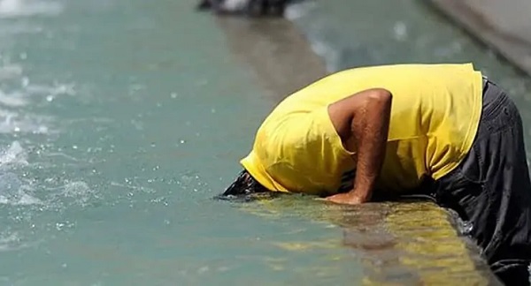 Adana'ya bahar değil yaz geldi!