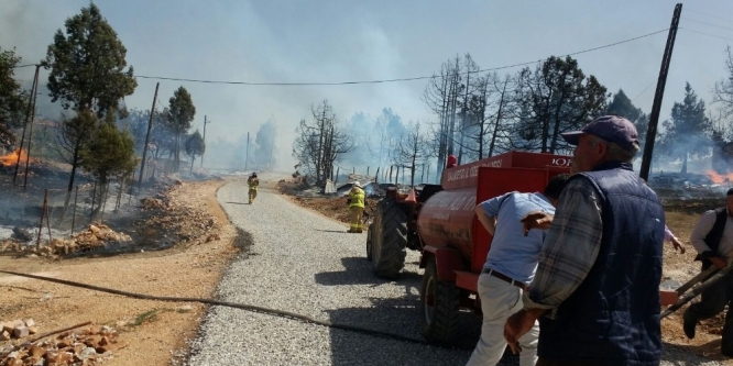 Balıkesir’de orman yangını sürüyor
