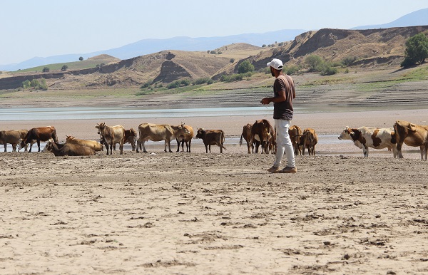 Adeta çöle dönmüştü! İşte, o barajın son hali