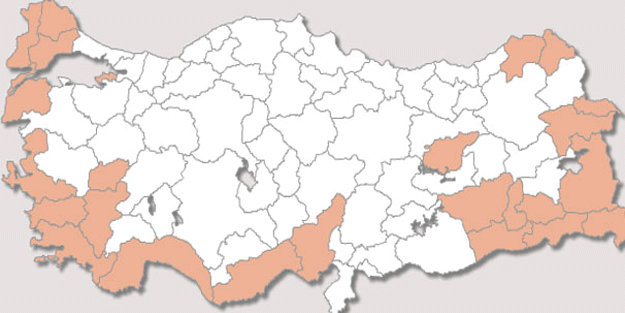 Adeta rekor kırıldı… Halk sandığa koştu! İşte referandum katılım oranı