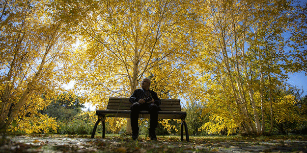 Adeta renk cümbüşü yaşandı! Sonbaharla gelen güzellik böyle görüntülendi