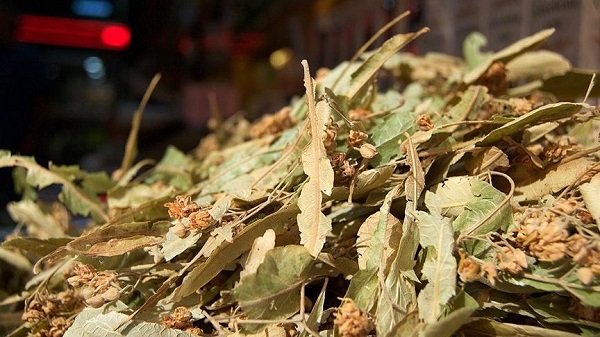 Adeta zehir saçıyor! Siz siz olun ıhlamuru böyle demlemeyin