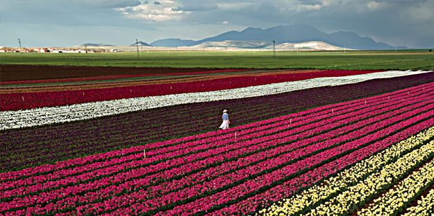 Adım adım başvuru rehberi... Müthiş ziyaretçi trafiği yaşanıyor... Uzmanından merak uyandıran açıklamalar