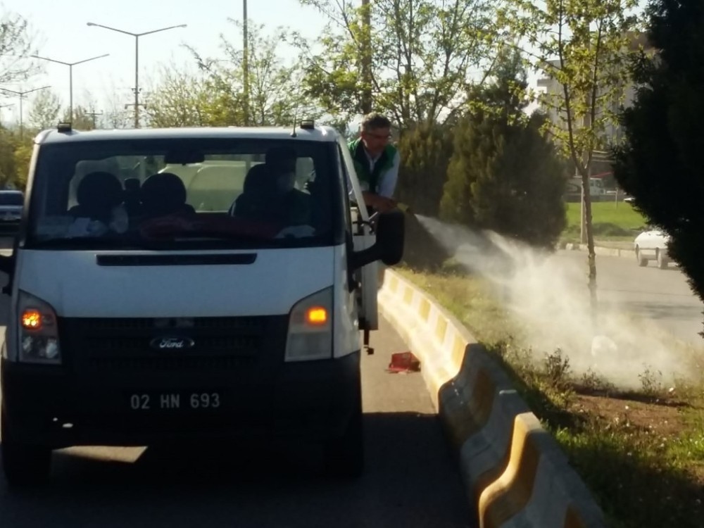 Adıyaman Belediyesi yabani otları imha ediyor 