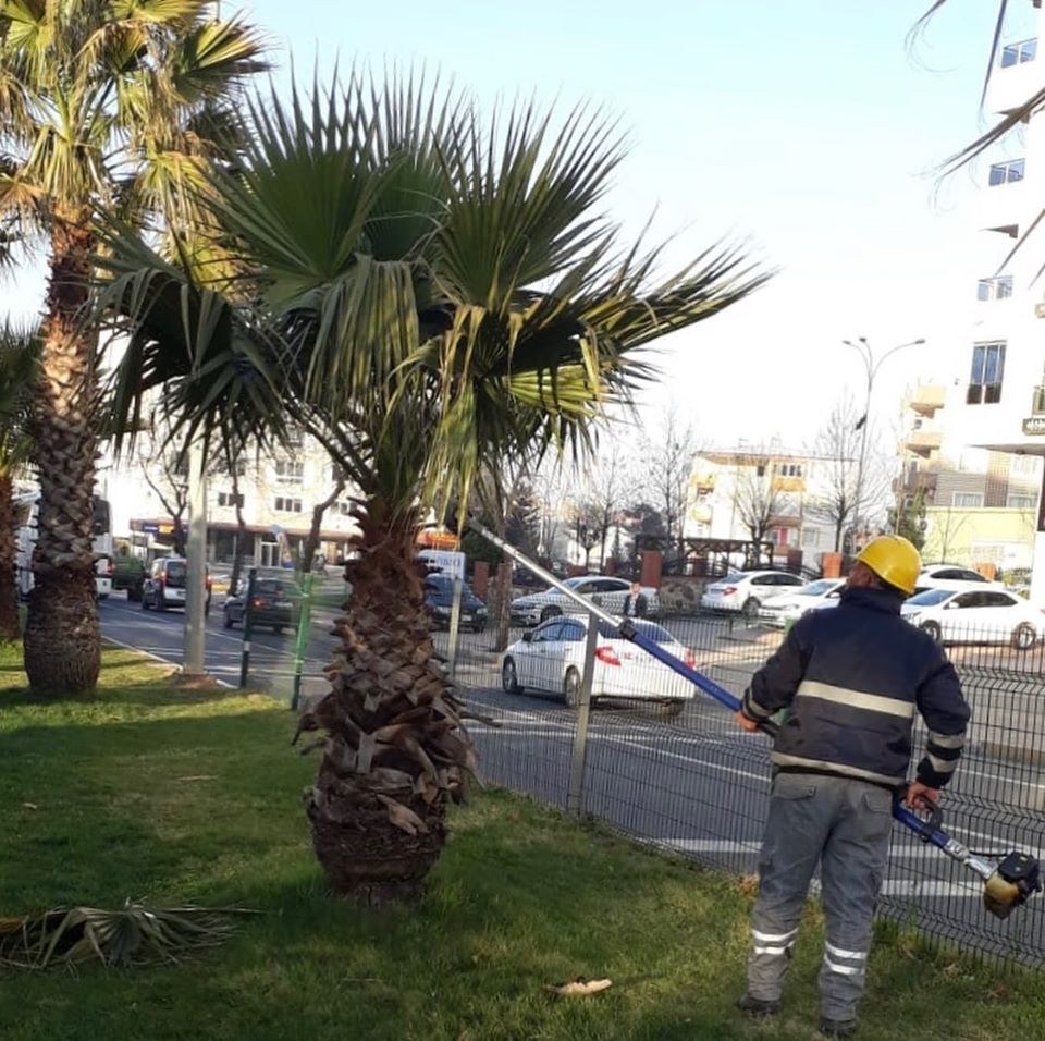 Adıyaman’da ağaçlara bahar bakımı 