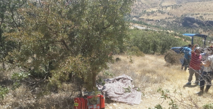 Adıyaman'da ağaç kesmeye giden adam ormanlık alanda ölü bulundu