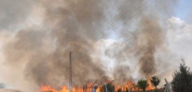 Adıyaman'da anız yangını