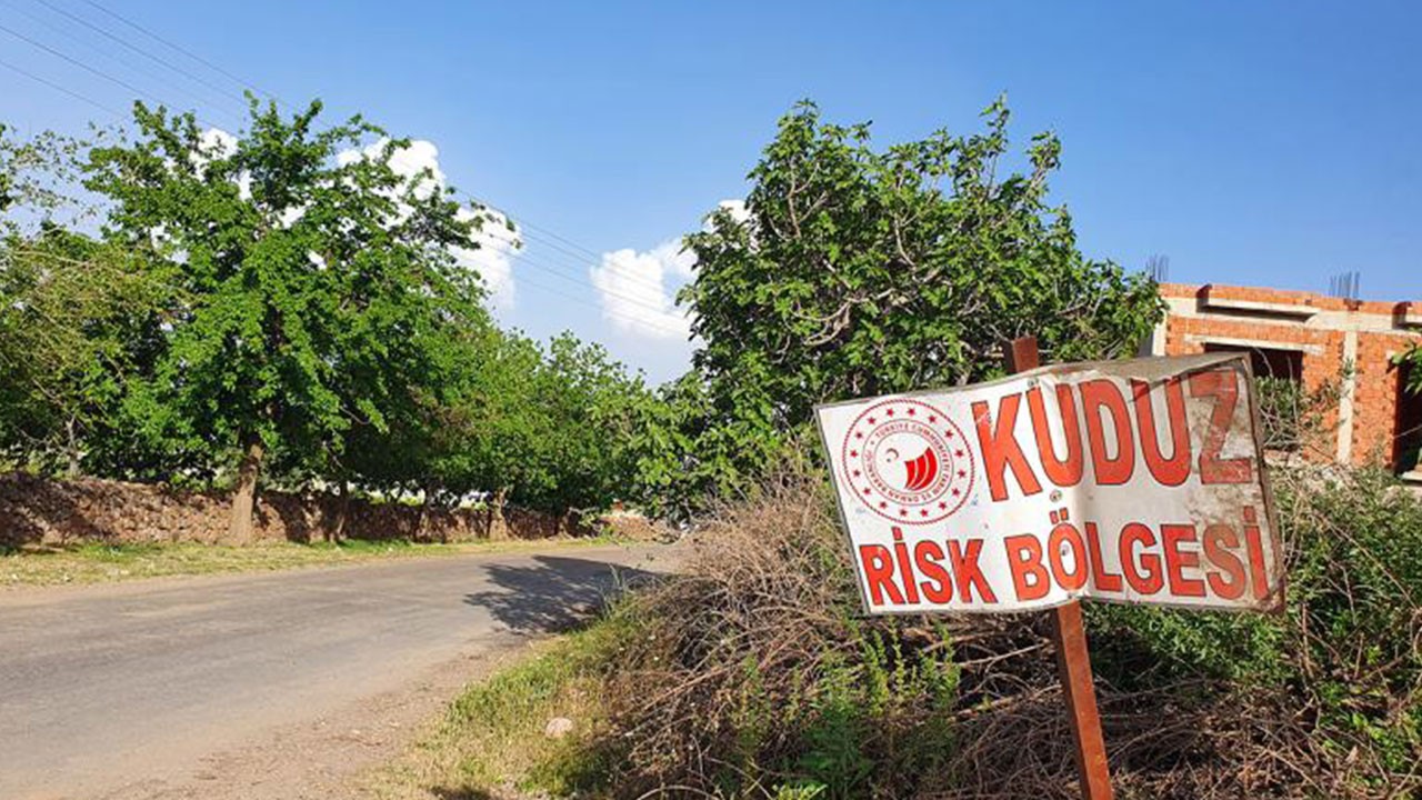 Adıyaman'da büyük panik! 6 ay karantinaya alındı