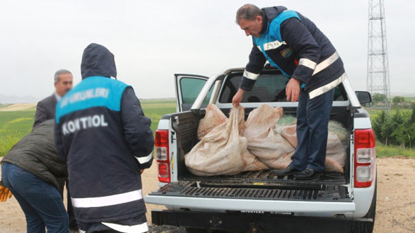 Adıyaman'da ekipler çuvalları açtı, bin 322 lira cezayı yazdı!