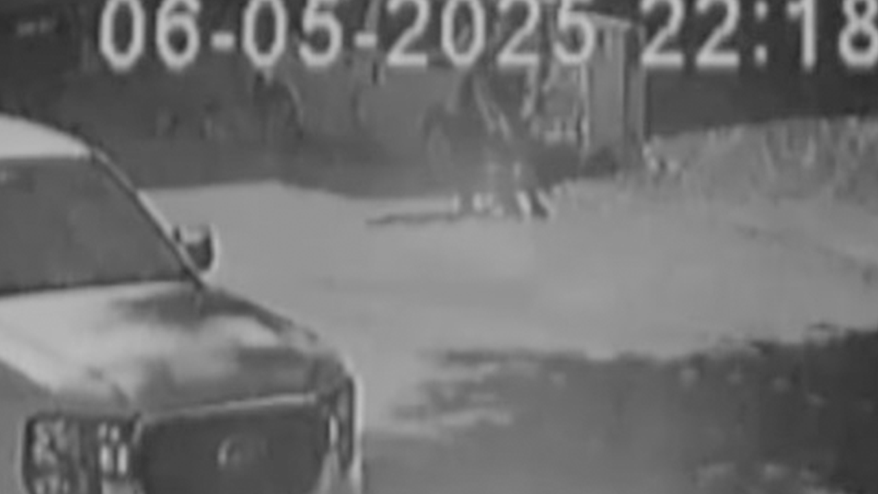 Adıyaman'da evden kaçan köpek sokaktaki kızlara böyle saldırdı!