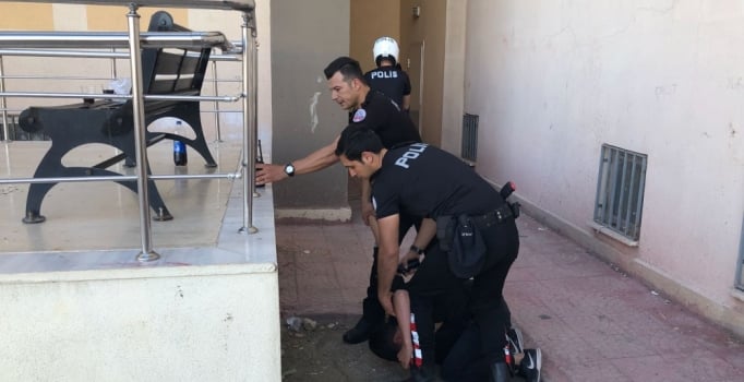Adıyaman'da hırsızlık operasyonu: 6 tutuklama