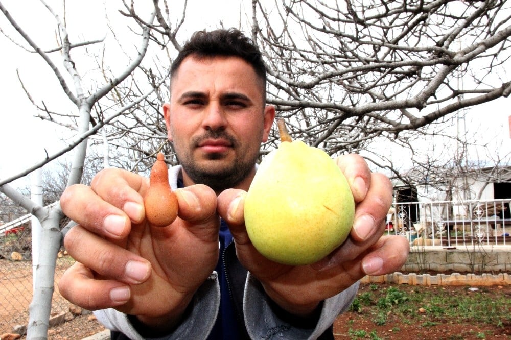 Adıyaman’da ilginç yumurta 