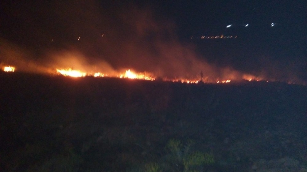 Adıyaman’da korkutan orman yangını 