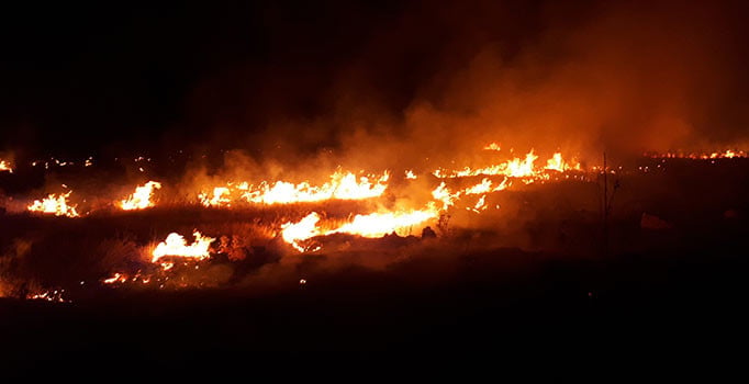 Adıyaman'da korkutan orman yangını