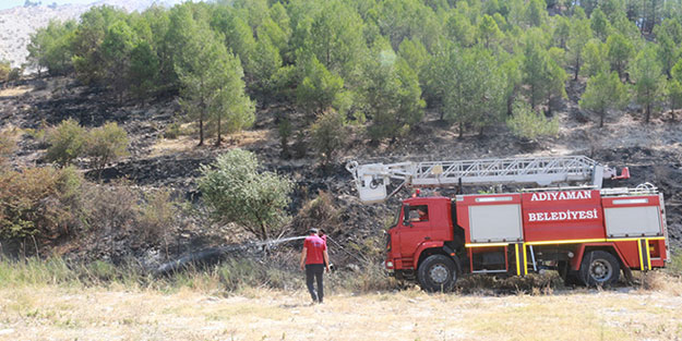 Adıyaman'da korkutan orman yangını