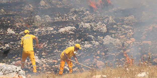 Adıyaman'da korkutan yangın! 2 hektar alan etkilendi