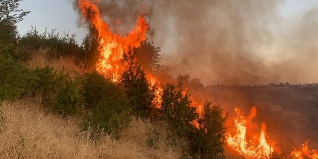 Adıyaman'da korkutan yangın!
