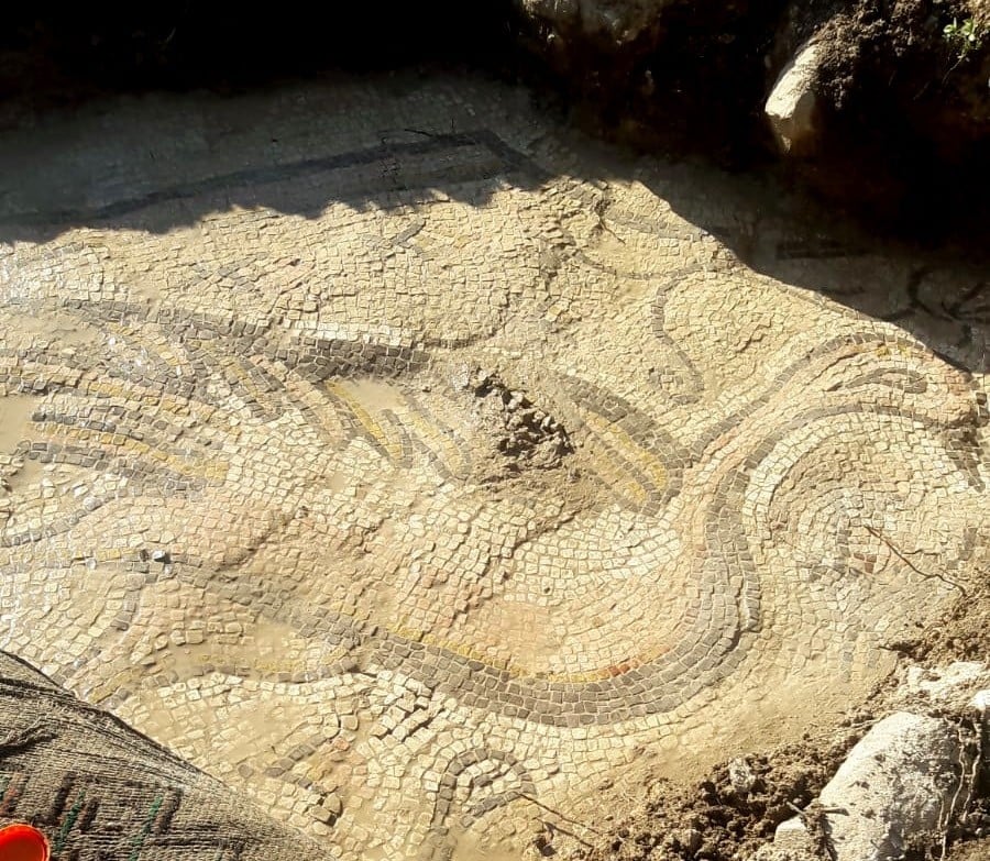 Adıyaman’da kuş figürlü mozaik bulundu 