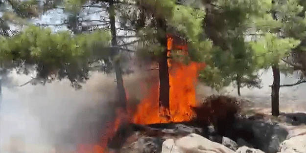 Adıyaman'da orman yangını