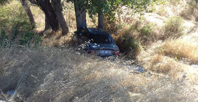 Adıyaman'da otomobil ağaca çarptı: 3 kişi yaralandı