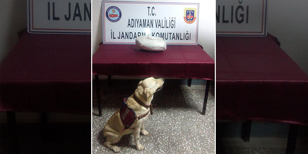 Adıyaman'da uyuşturucu operasyonu! Yetkililerden açıklama
