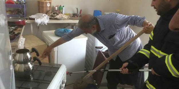 Adıyaman'da yılan paniği! Evin içinde...