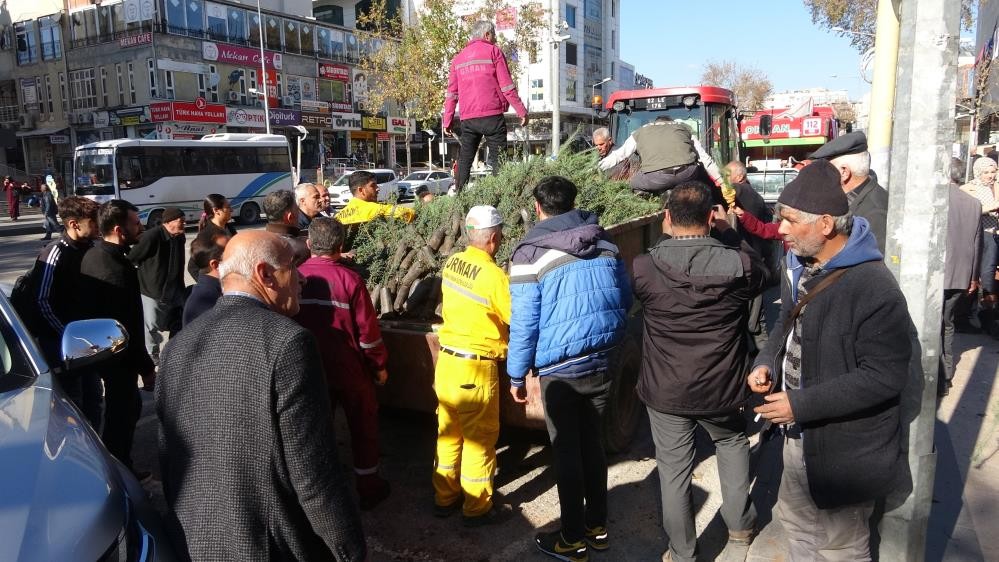 Adıyaman’da, yılbaşı öncesi binlerce fidan dağıtıldı