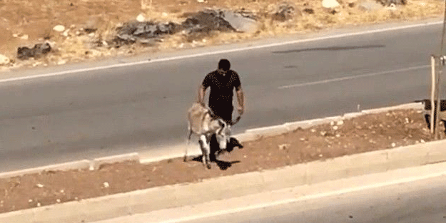 İnşaat işçisi genç insanlık dersi verdi