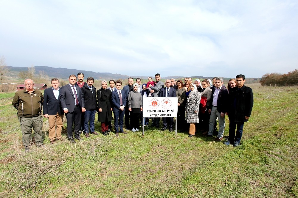 Adliye hatıra ormanına ilk fidanlar dikildi 