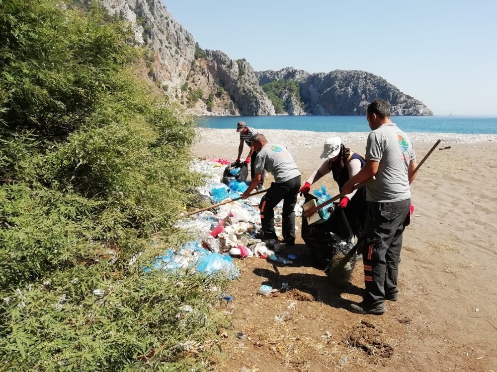 Adrasan Sazak Koyunda çöp temizliği 