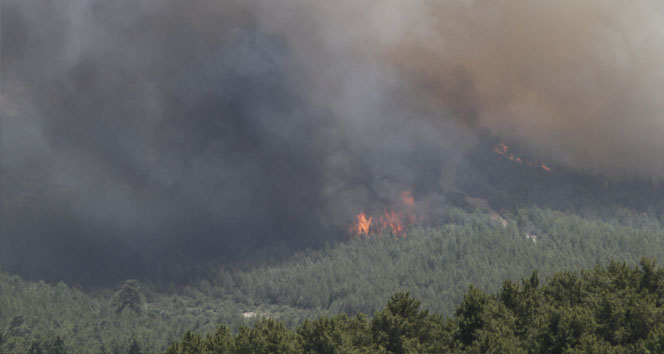 Adrasan'da çıkan yangın Çıralı ve Olimpos'u da korkutuyor